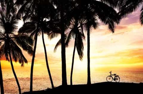 Scenic Cycling Or Trekking - Things To Do In Alibaug, amã Stays & Trails