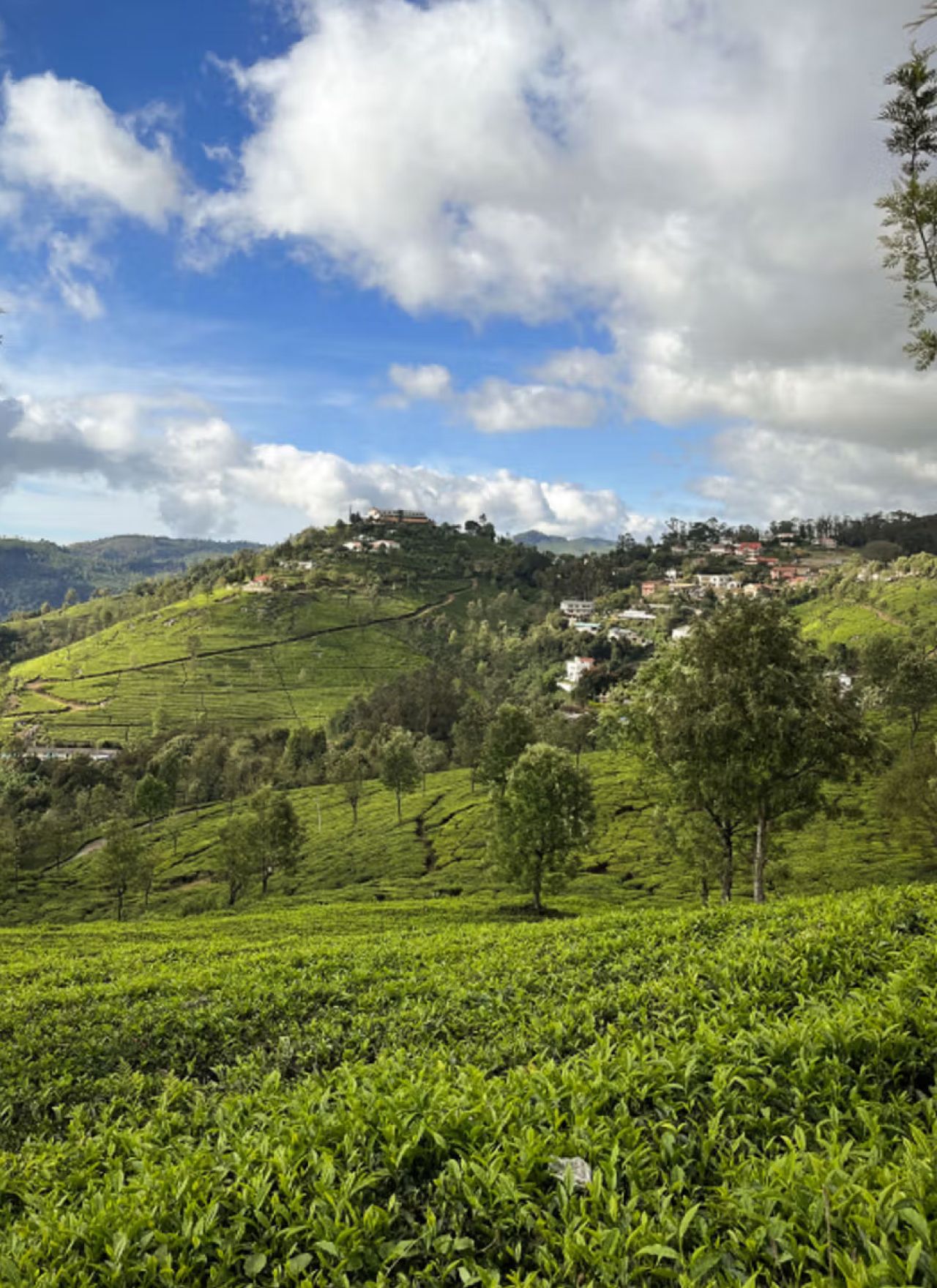 Dolphin’s Nose – Attraction in Coonoor