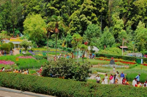 Bryant Park - Places To Visit In Kodaikanal, amã Stays & Trails