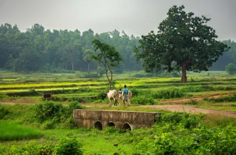 On The Farms - Experiences In Hoshiarpur, amã Stays & Trails