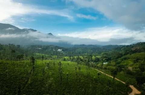 Trekking To Chembra Peak - Activities To Do In Wayanad