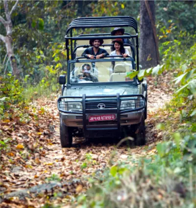 Jeep Safari - Meghauli Serai, Nepal