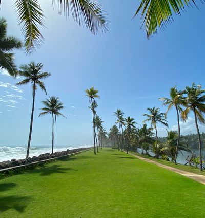 Open-Air Seaside Lawns - Taj Green Cove, Kovalam