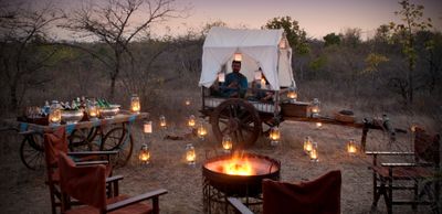 Palanquin Dinner Experience Near Panna National Park By Taj Hotels