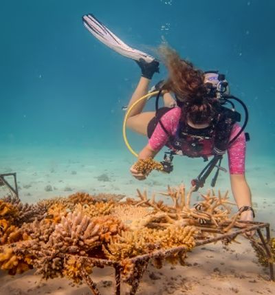 Guided Snorkelling With Our Marine Dive Centre - Experiences at Taj Coral Reef, Maldives