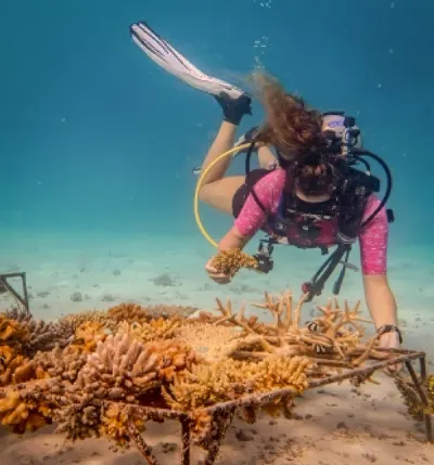 Guided Snorkelling With Our Marine Dive Centre - Experiences at Taj Coral Reef, Maldives