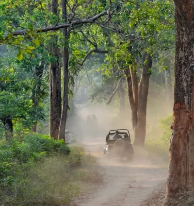  Jeep Safari - Taj Corbett, Uttarakhand