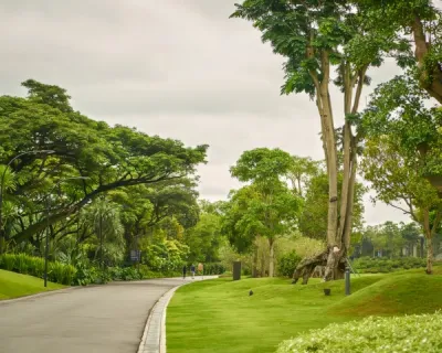 Sanjay Gandhi National Park near Taj The Trees, Mumbai