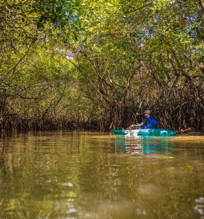  Day Night Kayaking - Experiences at Taj Exotica Resort & Spa, Andamans