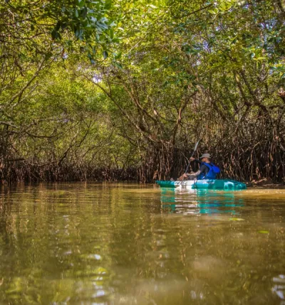  Day Night Kayaking - Experiences at Taj Exotica Resort & Spa, Andamans