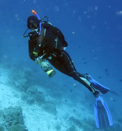 Dive Into An Ocean Full Of Knowledge - Experiences at Taj Coral Reef, Maldives