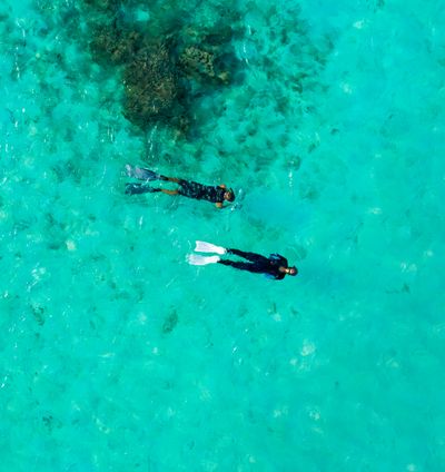 Padi-Certified Blue In Dive Centre - Taj Coral Reef, Maldives