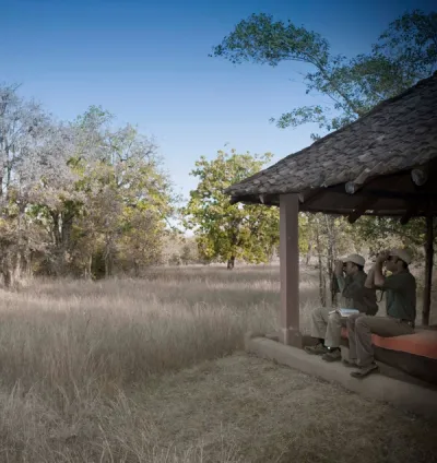 Bird Watching at Mahua Kothi, A Taj Safari