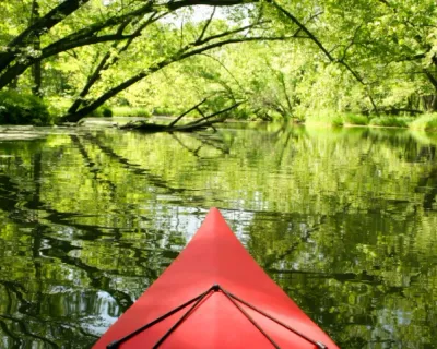 Tranquil Sal River - Attractions And Places to Visit in Goa