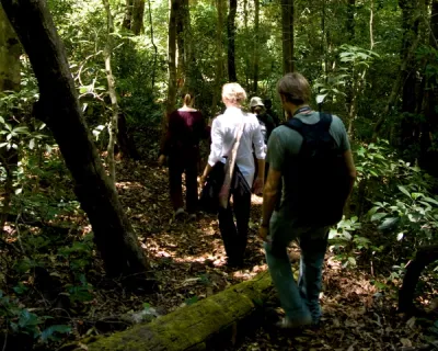 Trekking - Taj Wayanad, Kerala