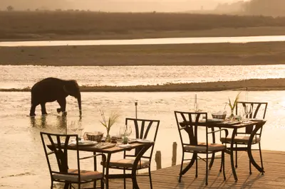 Dining in the wild - Meghauli Serai, Nepal