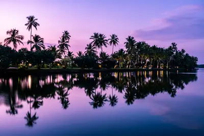 Captivating Outdoor Setting at Taj Green Cove