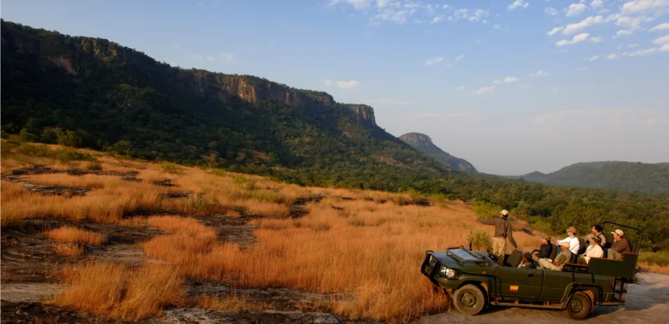 Luxury Jungle Safari Resort In Bandhavgarh National Park