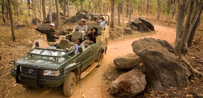 Wildlife Safari at Baghvan, Pench National Park - Banner Image