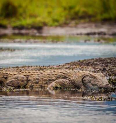 Wildlife Sanctuaries & National Parks - Places to Visit in Lusaka