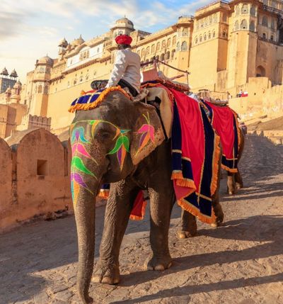 Hathi Gaon Tour - Experience at Taj Amer, Jaipur