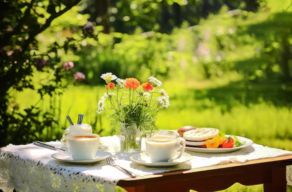 Breakfast in the Lawn