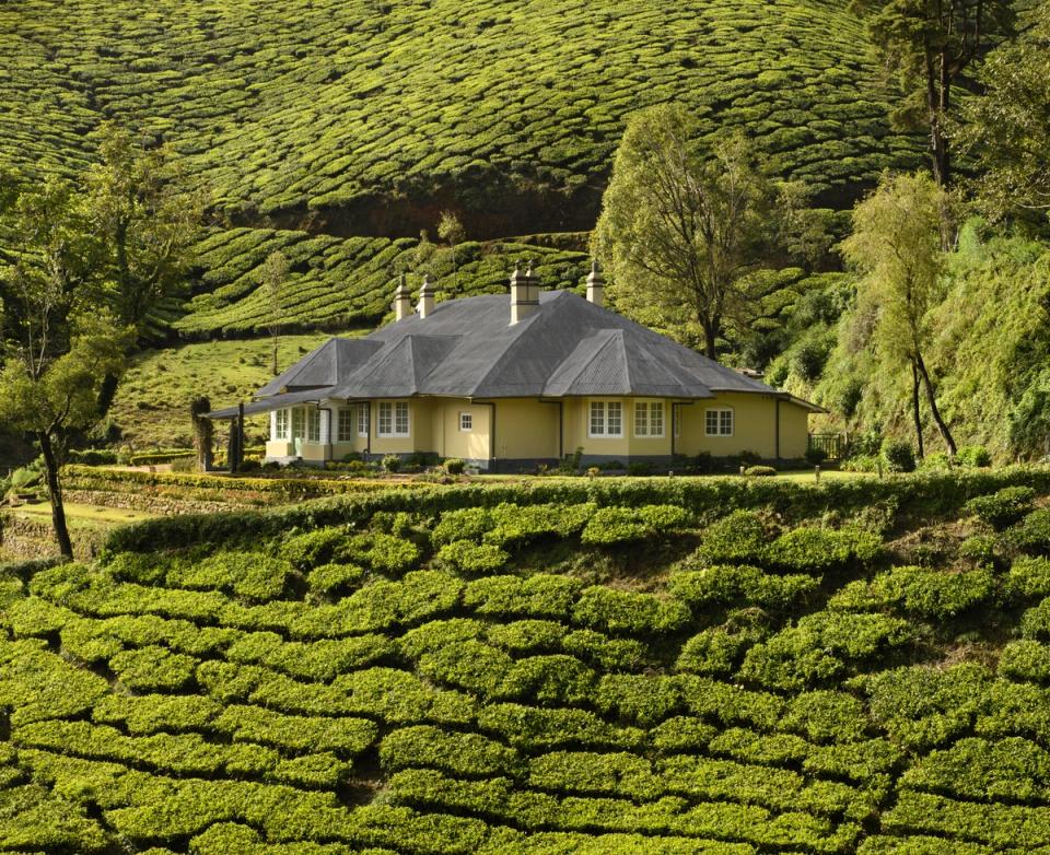 Homestay In Munnar - Sholamallay Bungalow, amã Stays & Trails