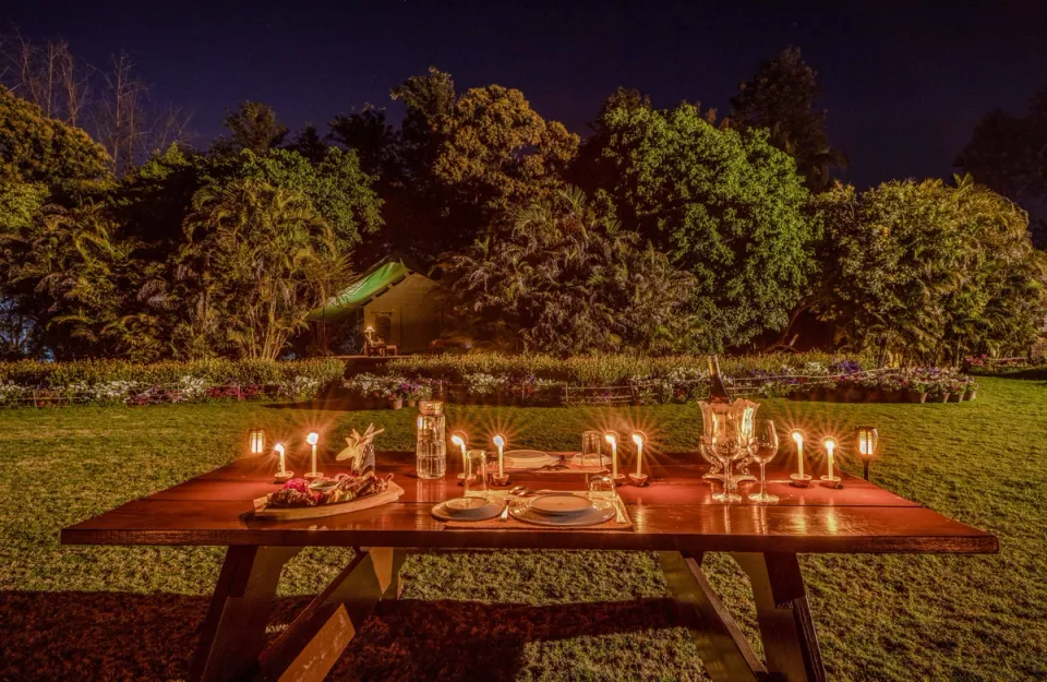 Outdoor Dining Experience - Experiences at Citrus County, Hoshiarpur