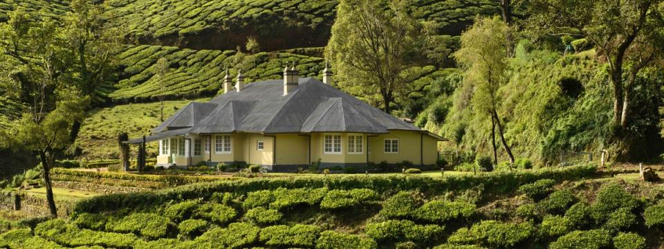 Discover Pleasures of Offbeat Treks Amidst Plantations