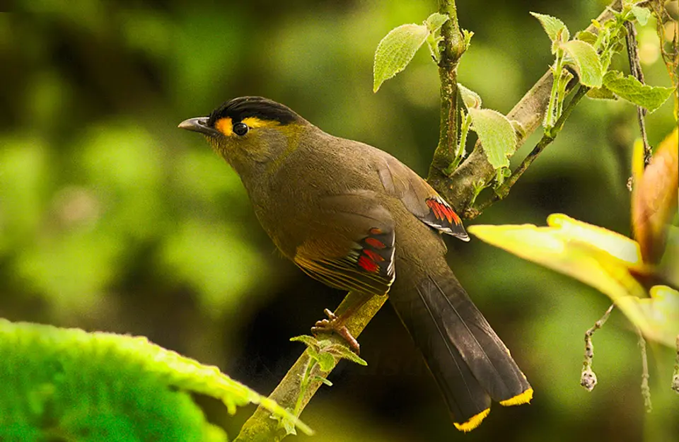 Biodiversity Hotspot - Unique Experiences In Lonavala, amã Stays & Trails 