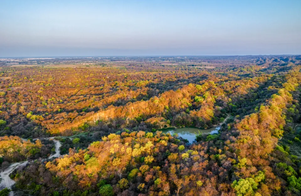 Breathtaking View of Hoshiarpur - amã Stays & Trails