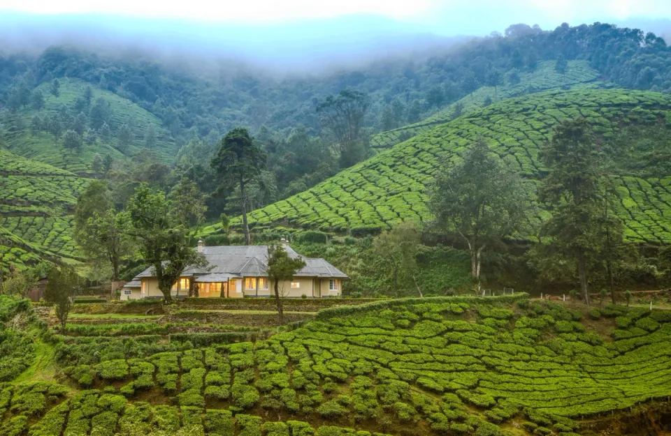 Private Homestay In Munnar - Sholamallay Bungalow, amã Stays & Trails