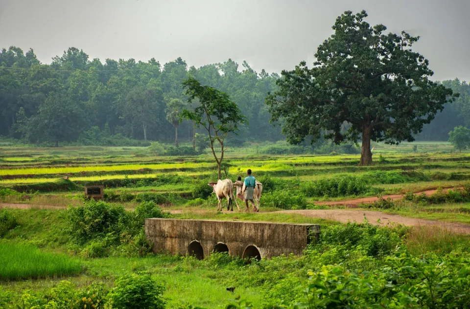 Village Life Experience In Kumarakom, amã Stays & Trails