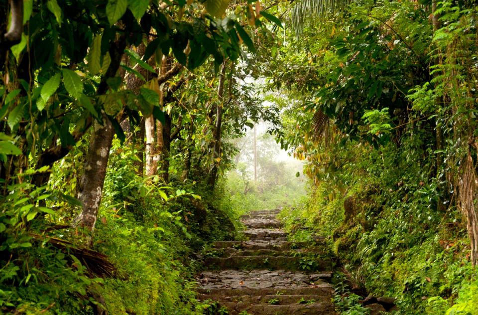 Trekking in the Western Ghats