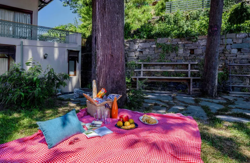 Curated Picnic Experience at Ballyhack Cottage, Shimla - amã Stays & Trails 