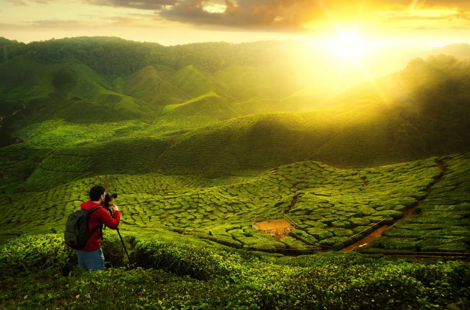 Photography - Things To Do In Coorg, amã Stays & Trails