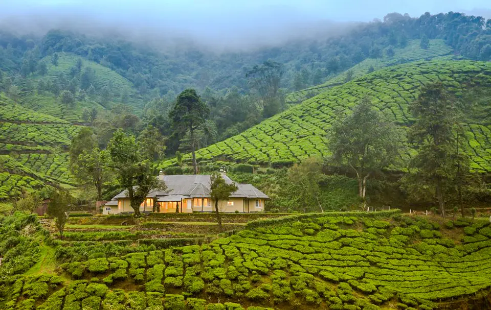 Bungalow In Munnar For Stay - Sholamallay Bungalow, amã Stays & Trails 