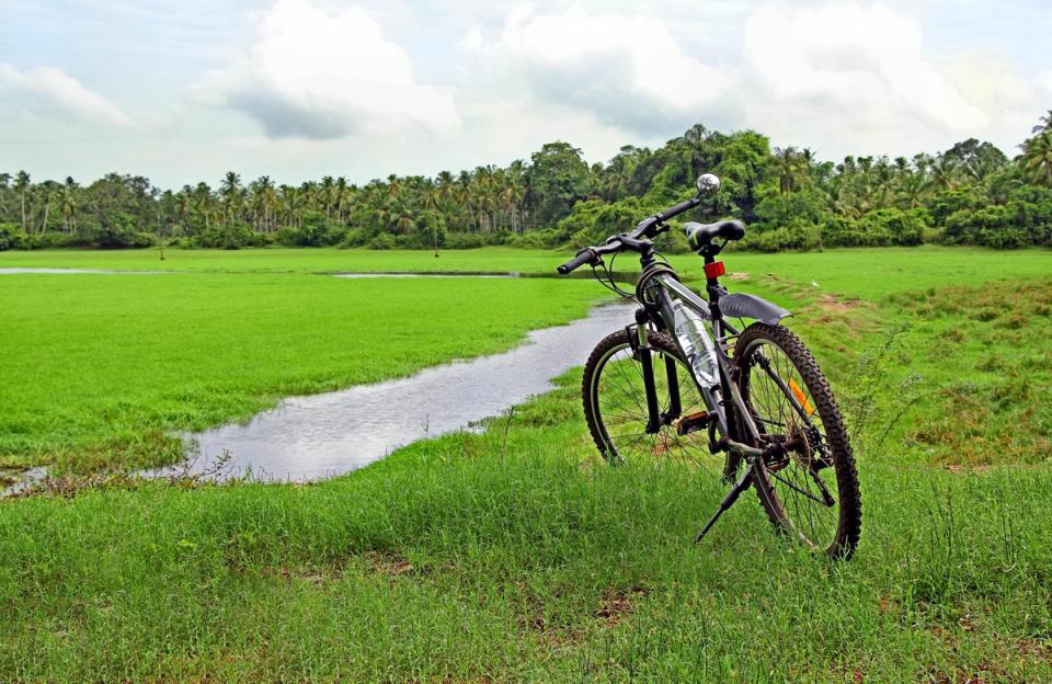 Cycling and Trekking in Rural Goa - Activities to Do In Goa