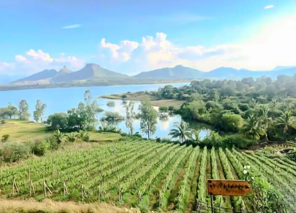 Vallonne Vineyards - Experiences in Nashik, amã Stays & Trails 