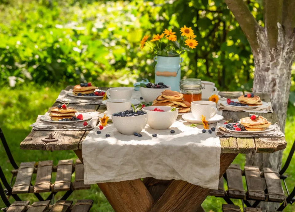 Breakfast By The Lawn - Luxury Experiences At Eden Farms Sapphire, Goa