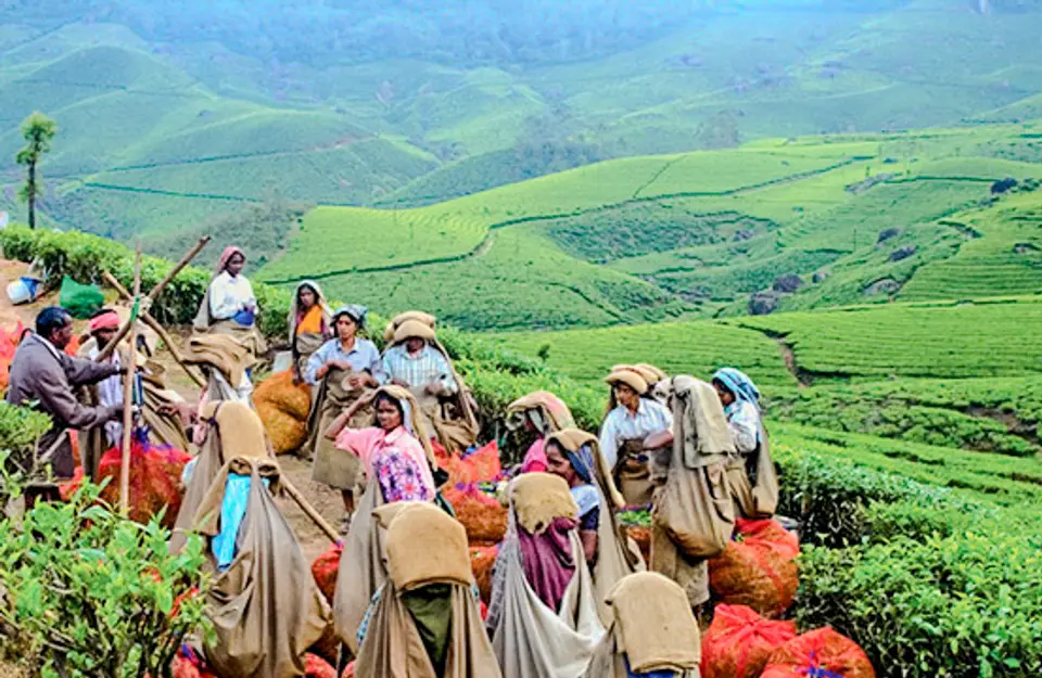 Visit To The Tea Museum - Places To Visit In Munnar