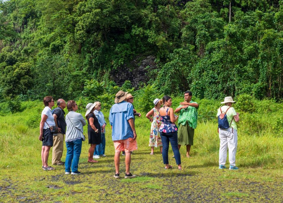 Guided Treks In Nature - Things To Do in Coorg