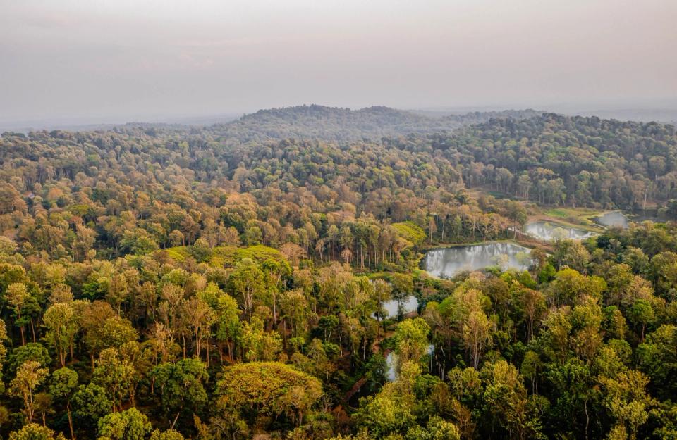 Iconic View of Coorg, amã Stays & Trails 