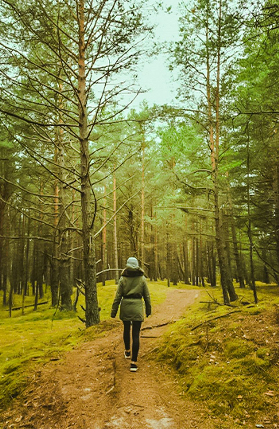 Walking Trails at Godhuli Timur, Naukuchiatal