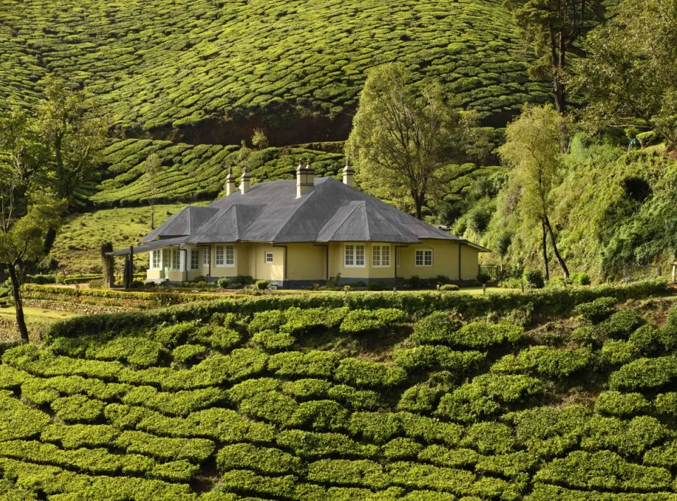 Homestay In Munnar - Sholamallay Bungalow, amã Stays & Trails 