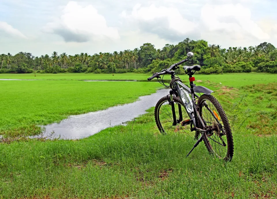 Activities To Do in Goa - Cycling And Trekking in Rural Goa, amã Stays & Trails