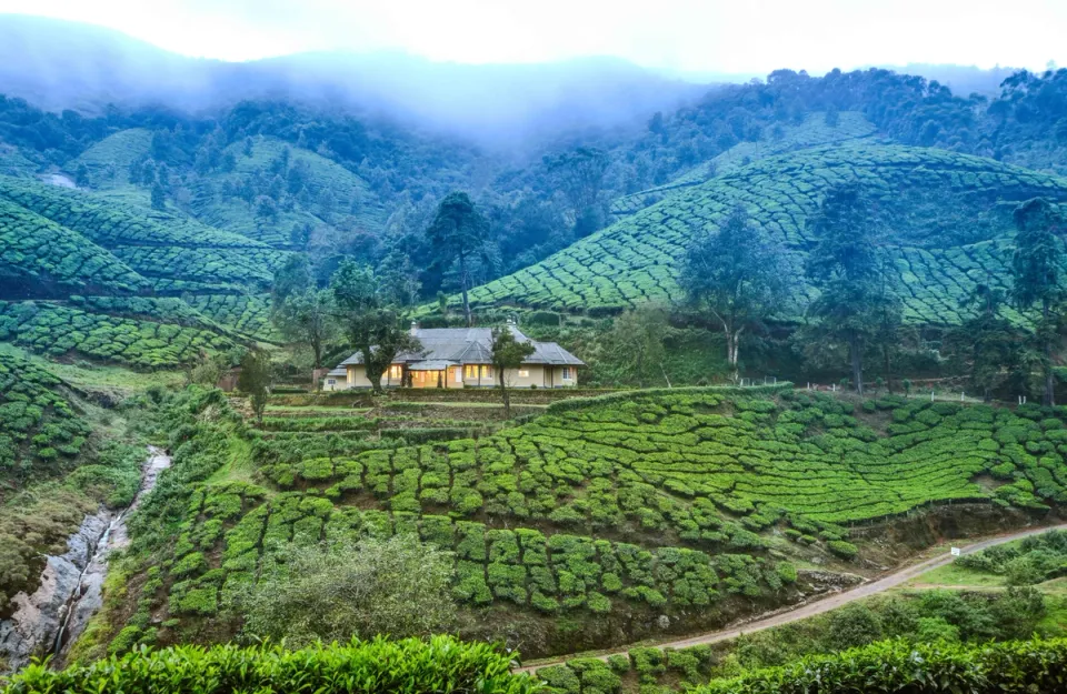 Private Bungalow In Munnar - Sholamallay Bungalow, amã Stays & Trails