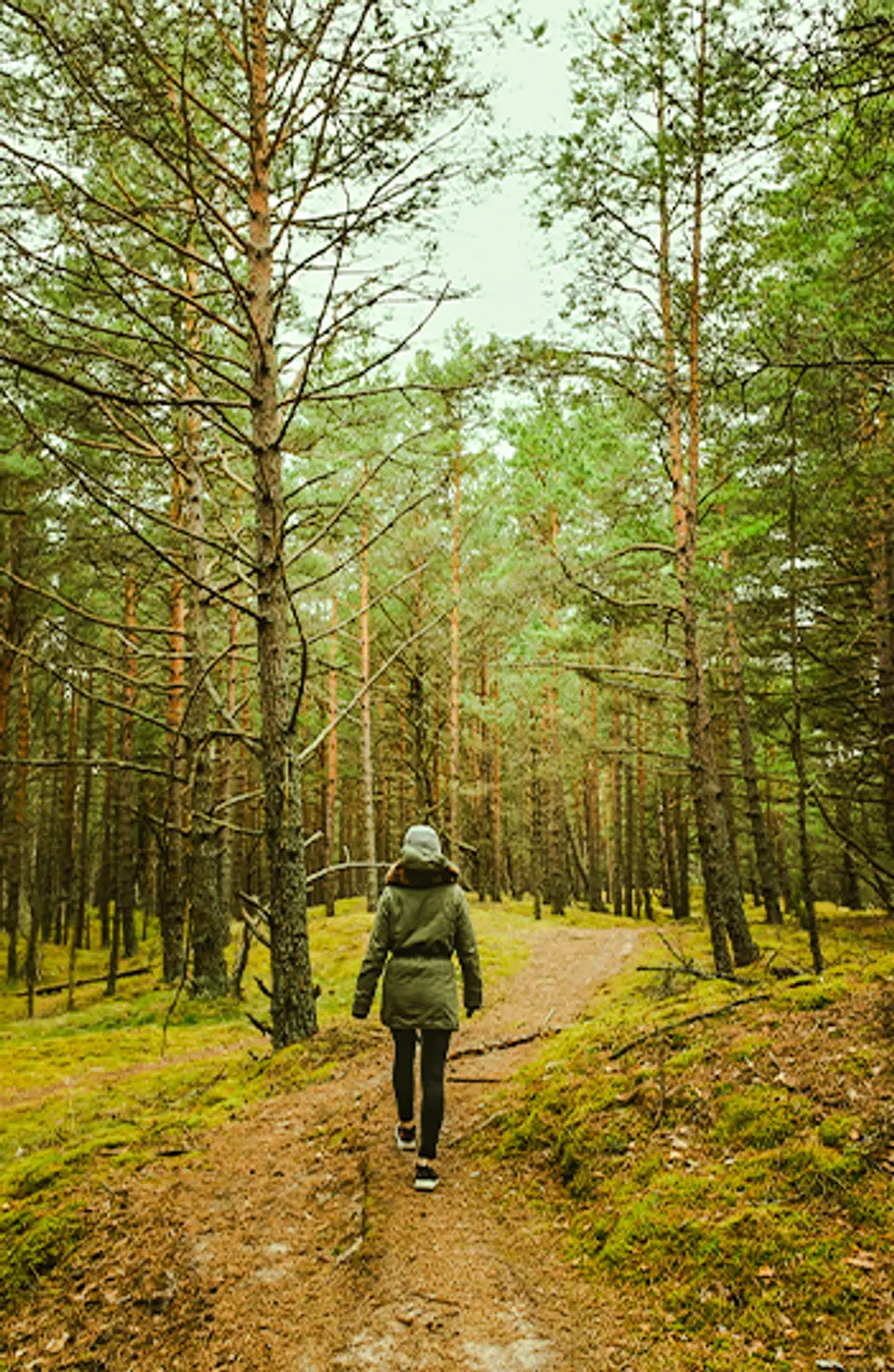 Walking Trails - Unique Experiences in Naukuchiatal