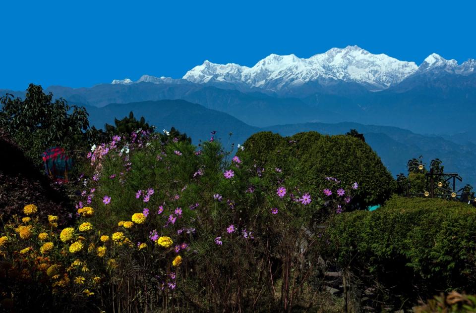 Witnessing Darjeeling's Biodiversity - Darjeeling Experiences