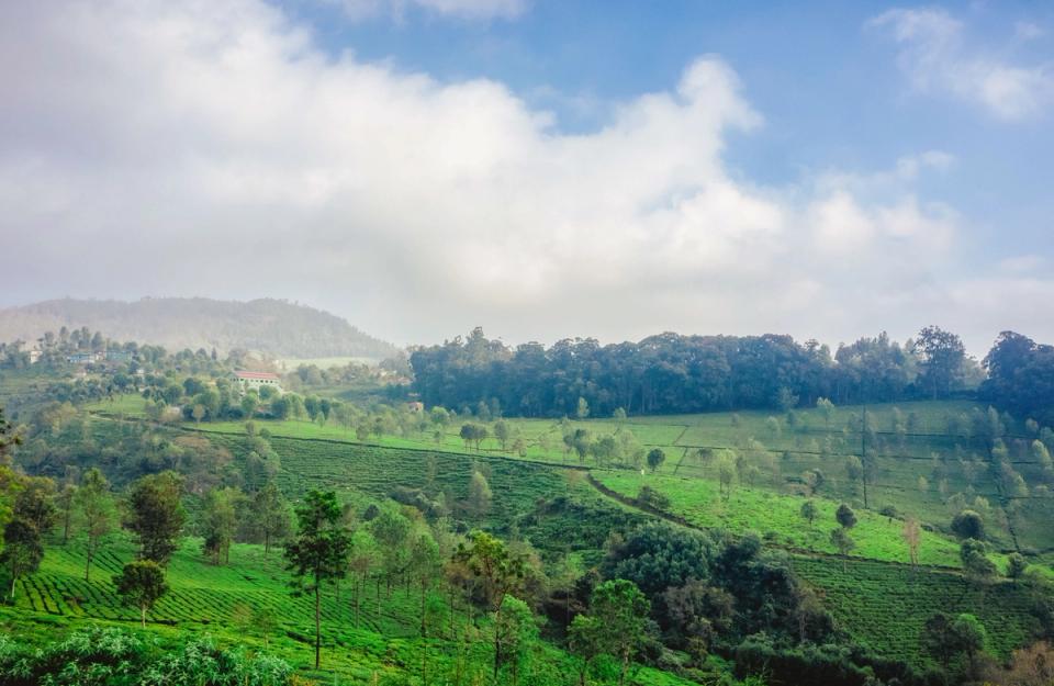 Nature Trails - Experiences in Coonoor, amã Stays & Trails 